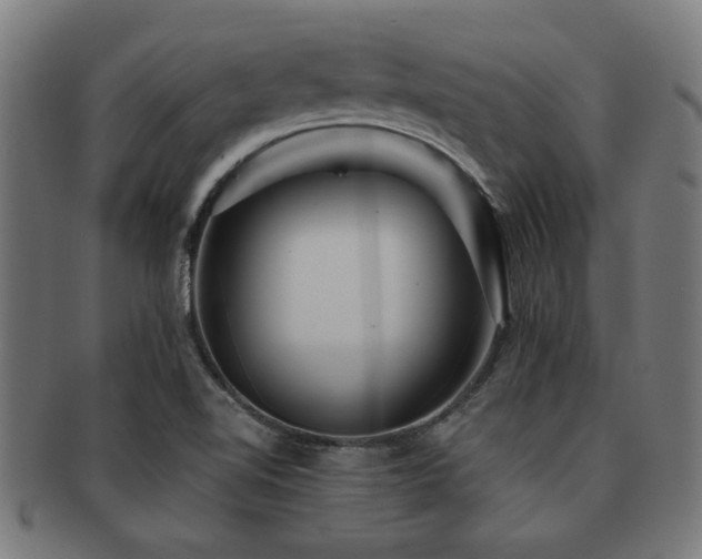 X0000091891510200709051333