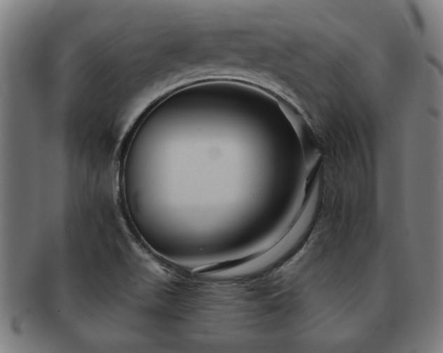 X0000091891511200709051333