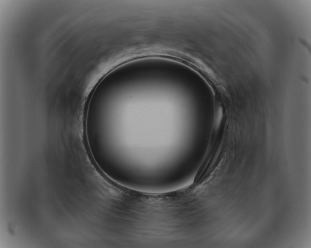 X0000091891512200709051333