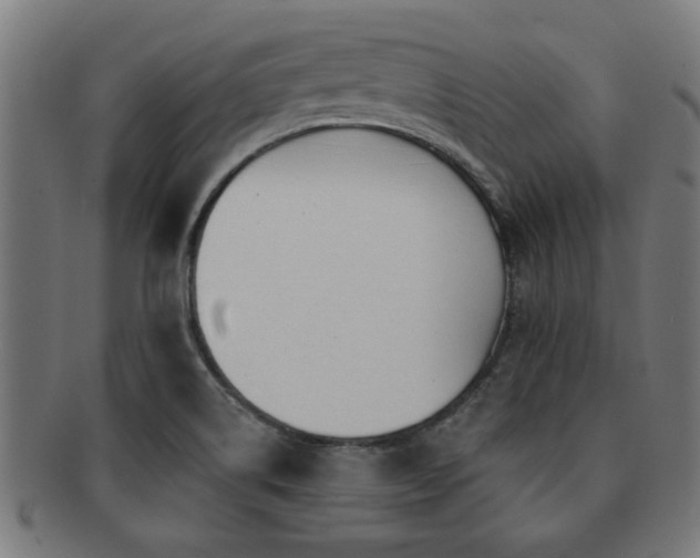 X0000091891514200709051333
