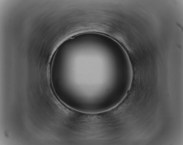 X0000091891516200709051333