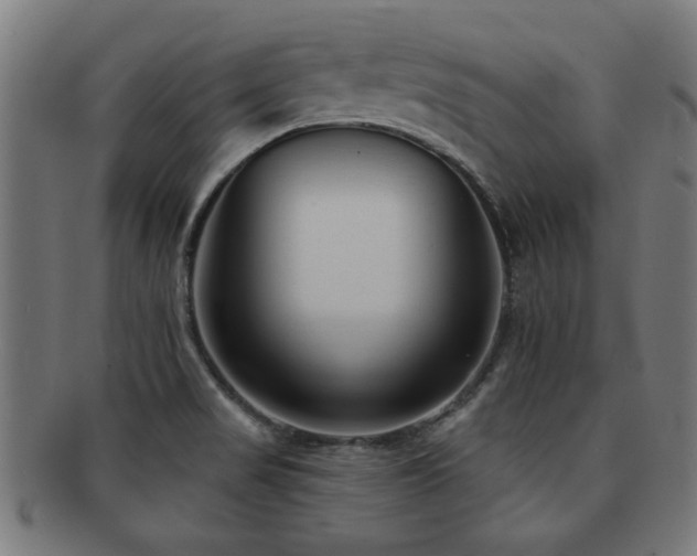 X0000091891517200709051333