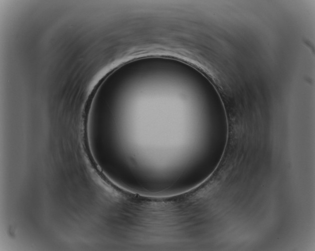 X0000091891518200709051333