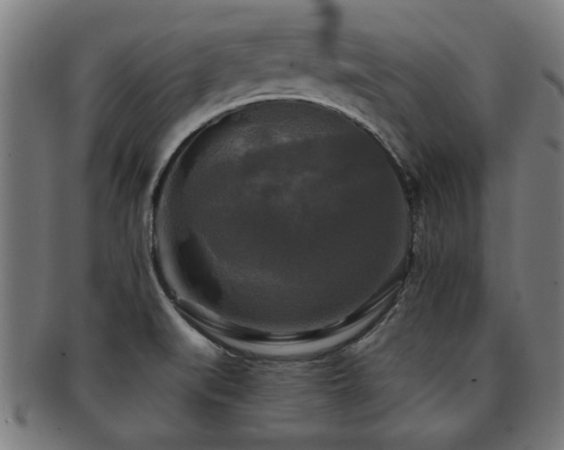 X0000091891519200709051333
