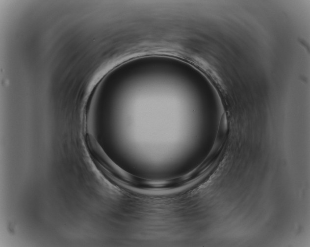 X0000091891520200709051333