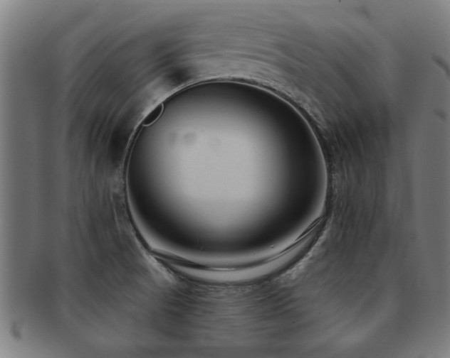 X0000091891521200709051333