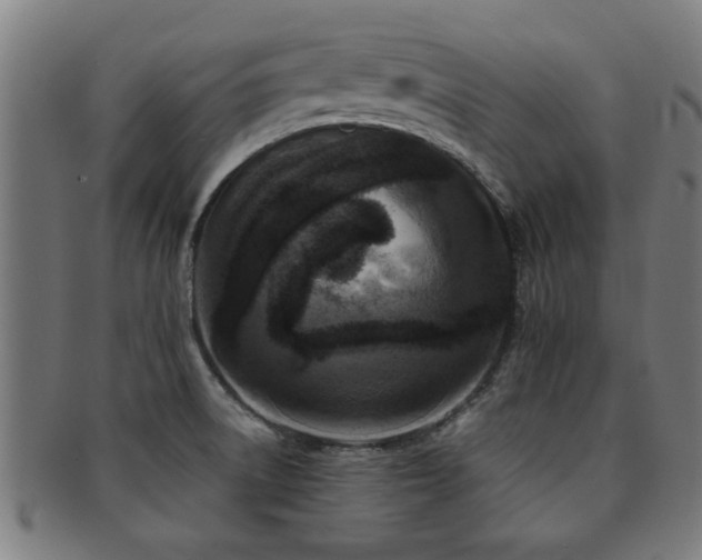 X0000091891522200709051333