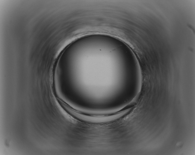 X0000091891523200709051333