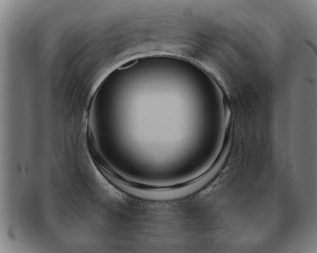 X0000091891524200709051333