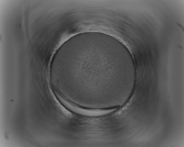 X0000091891525200709051333