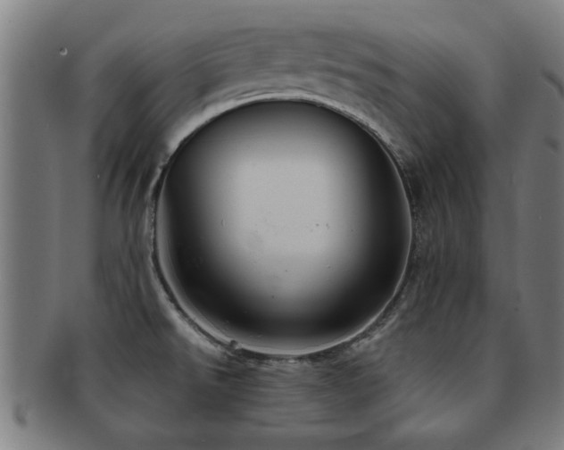 X0000091891526200709051333