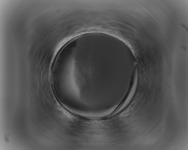 X0000091891527200709051333