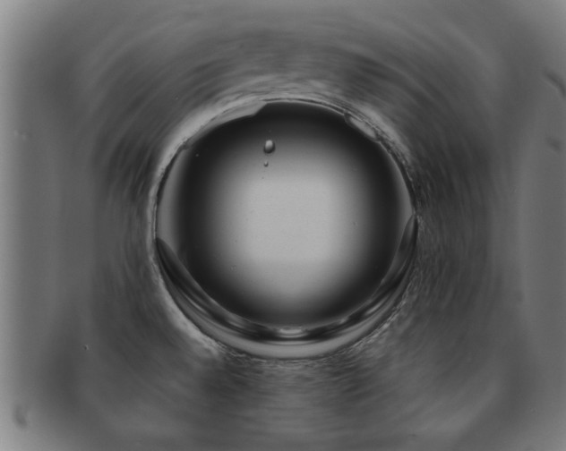 X0000091891528200709051333