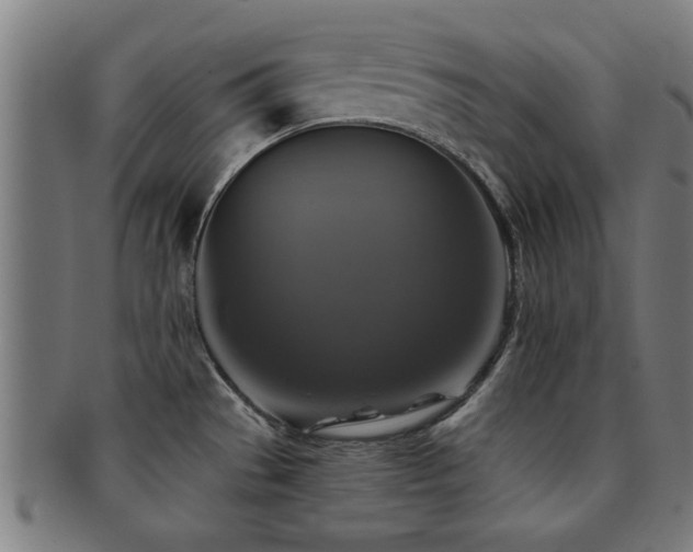 X0000091891529200709051333