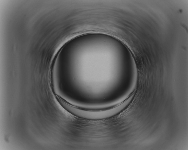 X0000091891531200709051333