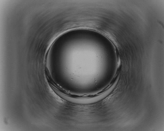 X0000091891532200709051333