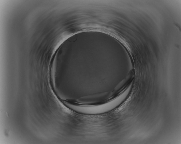 X0000091891533200709051334