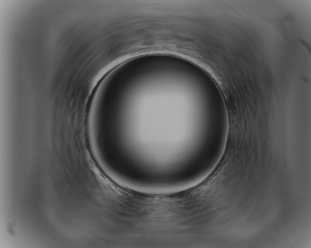 X0000091891534200709051334