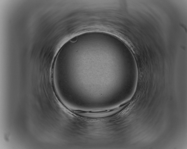 X0000091891535200709051334