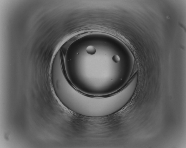 X0000091891536200709051334