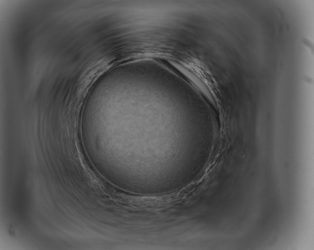 X0000091890001200709121449