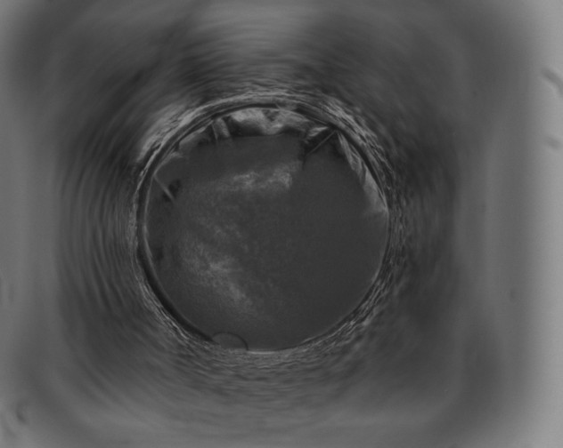 X0000091890002200709121449