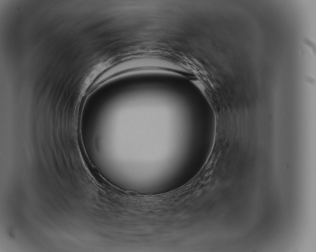 X0000091890003200709121449