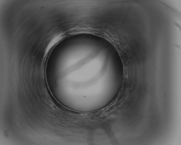 X0000091890004200709121448