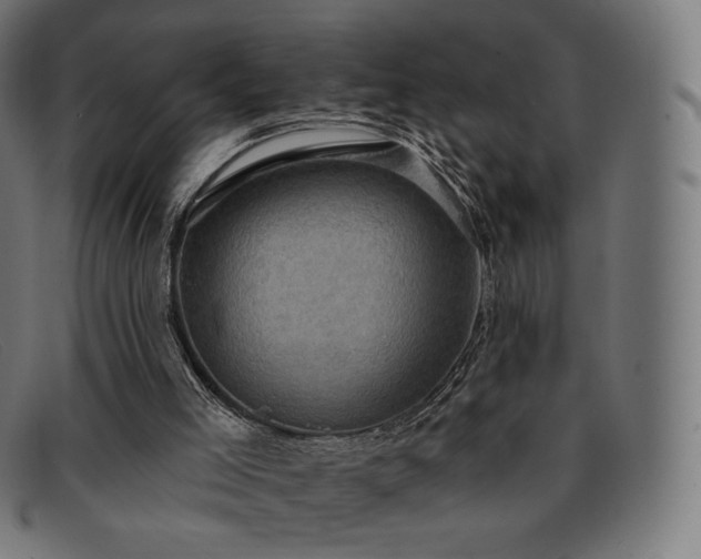X0000091890005200709121448
