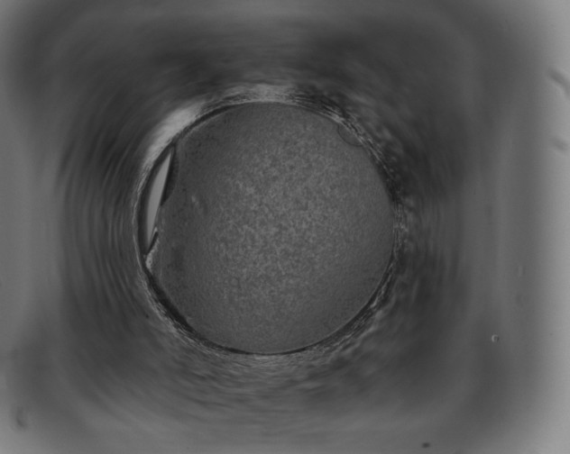 X0000091890006200709121448