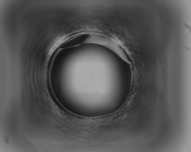 X0000091890007200709121448