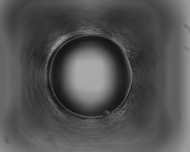 X0000091890008200709121448