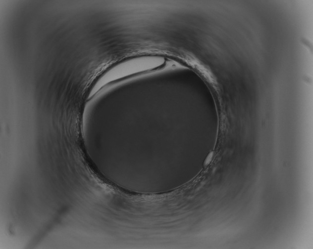 X0000091890009200709121448