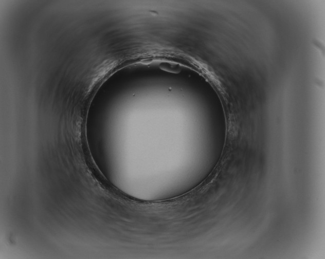 X0000091890010200709121448