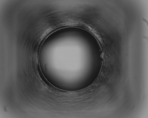 X0000091890011200709121448