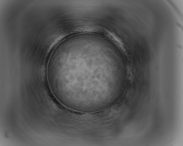 X0000091890012200709121448