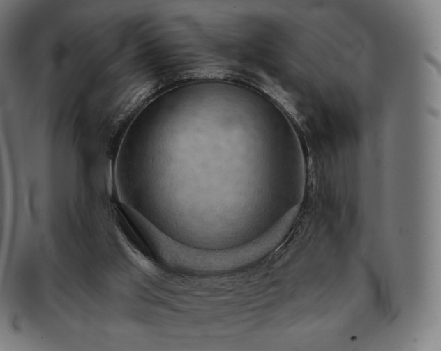 X0000091890013200709121448
