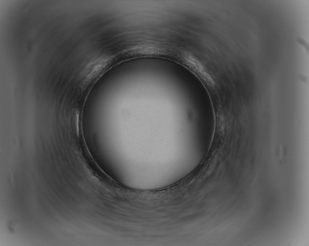 X0000091890014200709121448