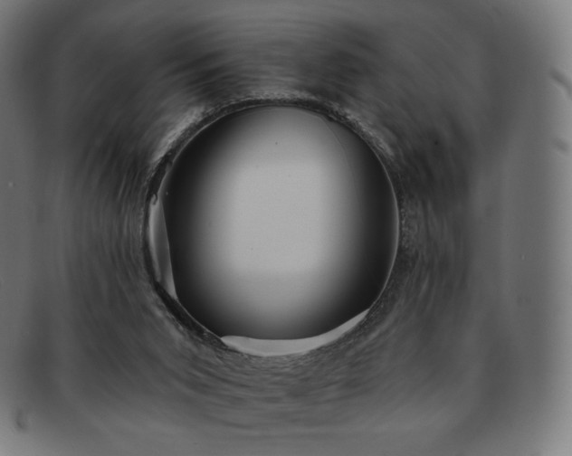 X0000091890015200709121448
