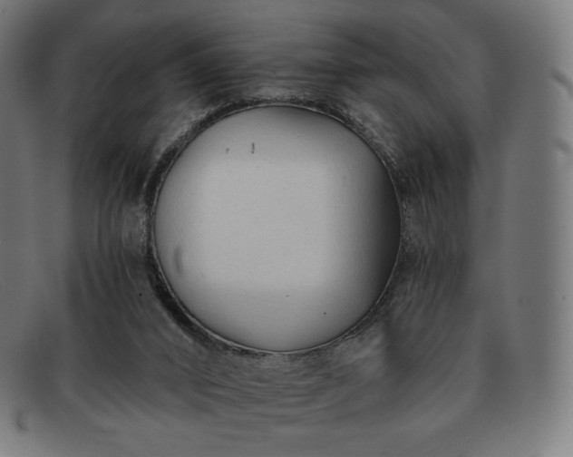 X0000091890016200709121448