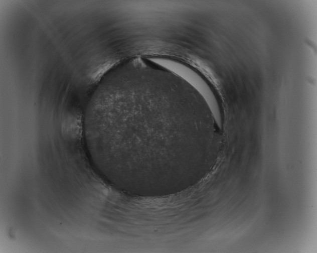 X0000091890017200709121448