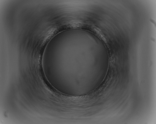 X0000091890018200709121448