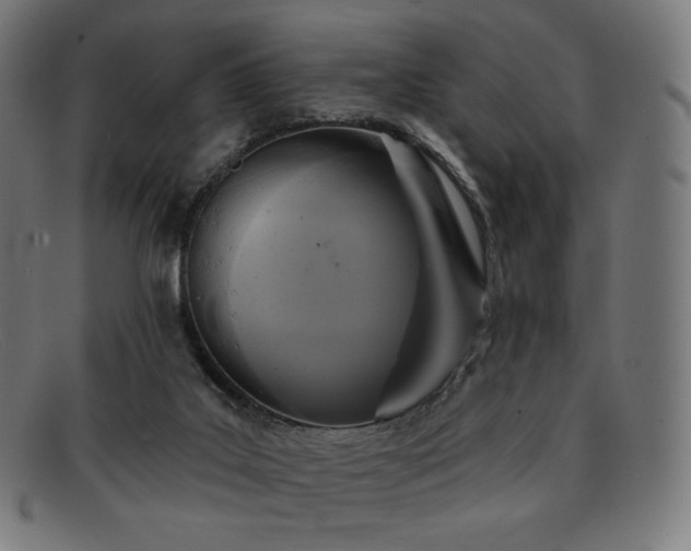 X0000091890019200709121448