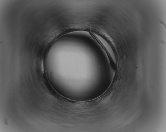 X0000091890020200709121448