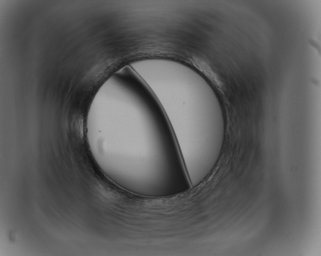 X0000091890021200709121448