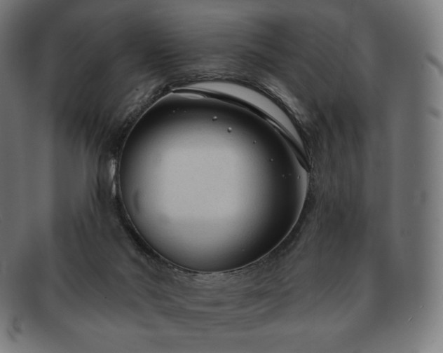 X0000091890022200709121448