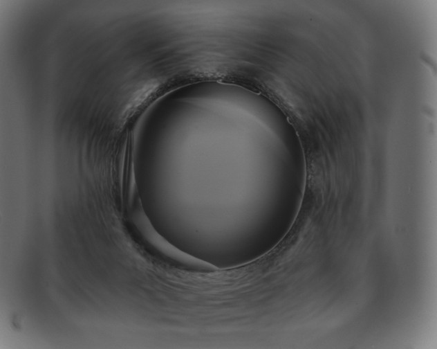 X0000091890023200709121448