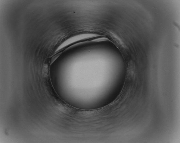 X0000091890025200709121448