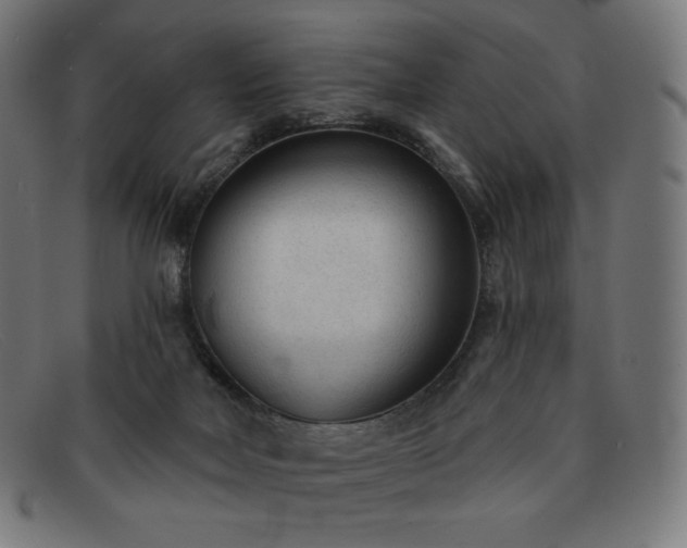 X0000091890026200709121448