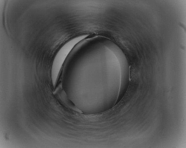 X0000091890027200709121448